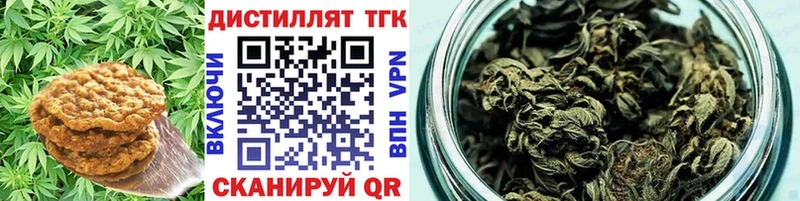 Купить закладки  Каменногорск  Еда ТГК марихуана 